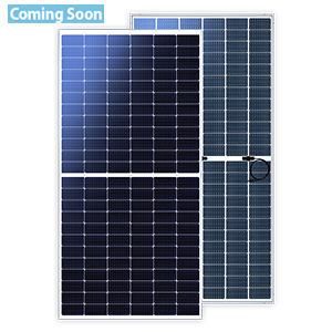 Bifacial TwinPlus Module